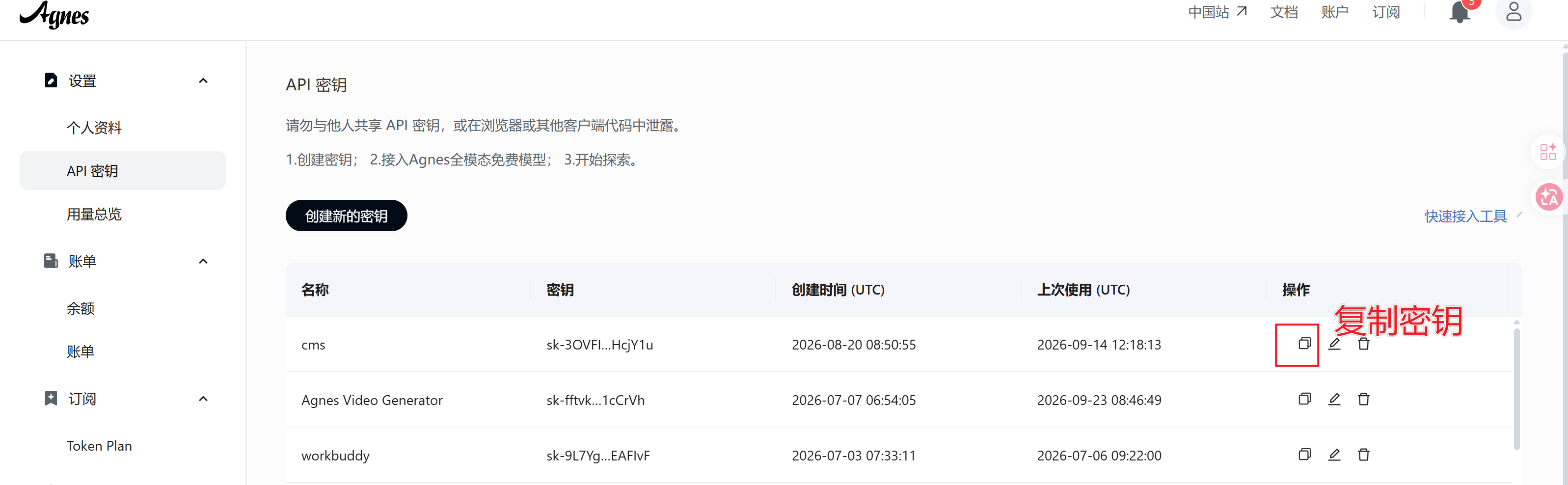 Agnes API 密钥列表右侧的复制图标